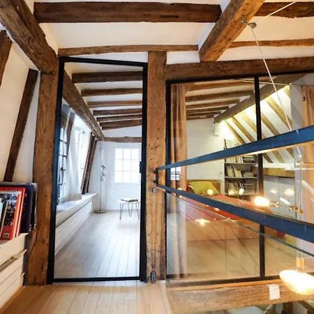 Nice Atypical In The Marshland Apartment Paris